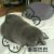baby倾听