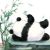 无忧熊猫