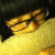 Lam_小孩