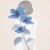 May_H_L_D