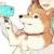 肥猫肥猫