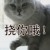 种花的小兔子